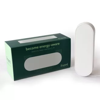 Frient Electricity Meter Interface 2, P1