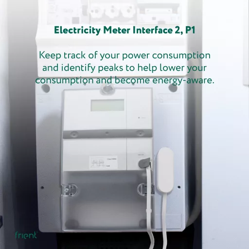 Frient Electricity Meter Interface 2, P1