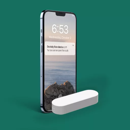 Frient Electricity Meter Interface 2, P1