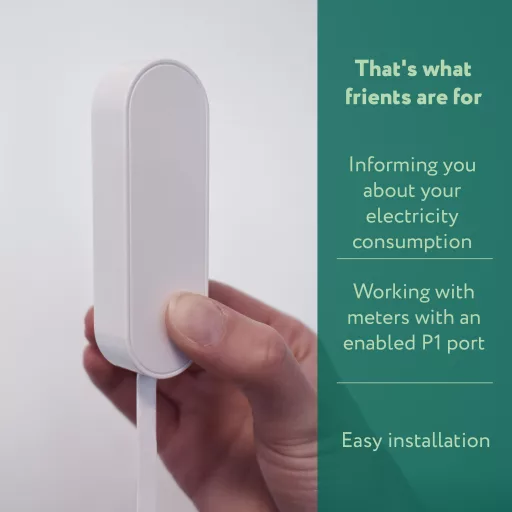 Frient Electricity Meter Interface 2, P1