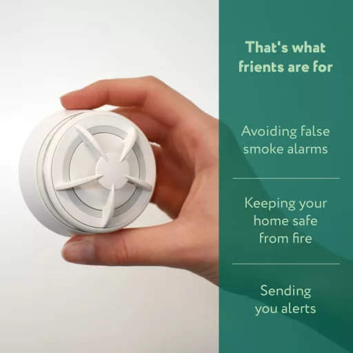 Frient Intelligent Heat Alarm