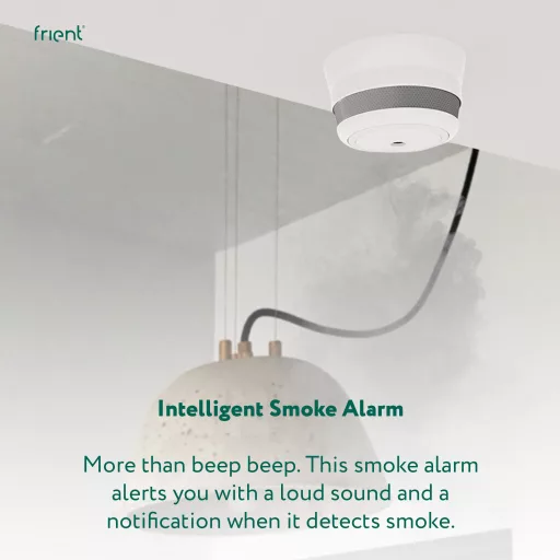 Frient Intelligent Smoke Alarm